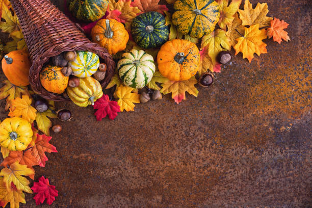 Decorated autumn or thanksgiving cornucopia with pumpkins and leaves on the rustic background