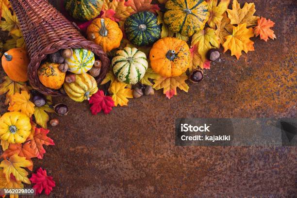 Autumn Or Thanksgiving Decoration Stock Photo - Download Image Now - Thanksgiving - Holiday, Backgrounds, Cornucopia