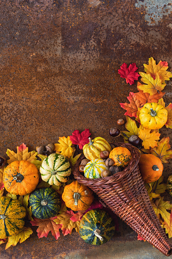 istock Autumn or Thanksgiving decoration 1662029807