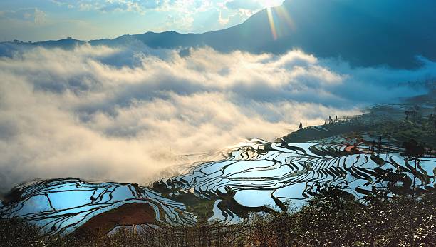 lever du soleil sur les champs en terrasse - agriculture artificial yunnan province china photos et images de collection