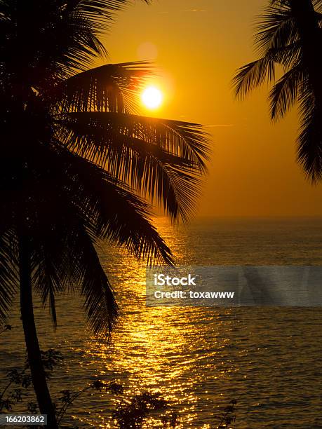 Schönen Tropischen Sonnenuntergang Stockfoto und mehr Bilder von Abenddämmerung - Abenddämmerung, Ast - Pflanzenbestandteil, Baum