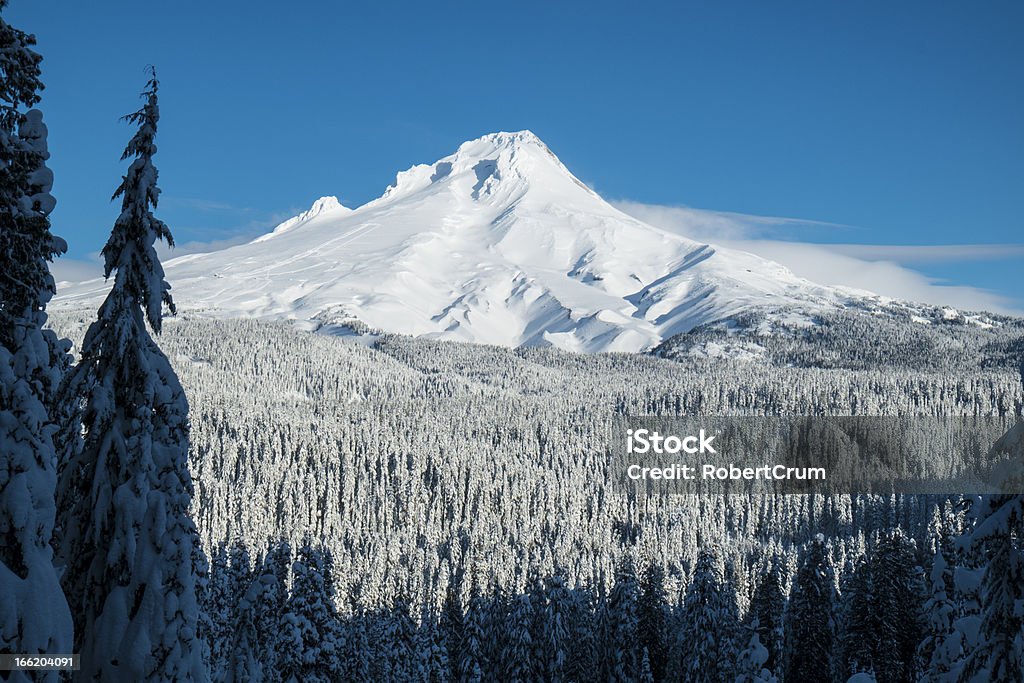 Mt. Hood, winter, Oregon Mount Hood covered in winter snow, Oregon Mt Hood Stock Photo