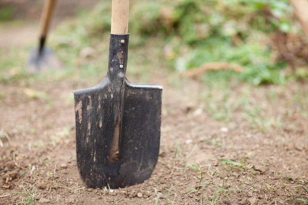 istock shoivel in the garden 166204588