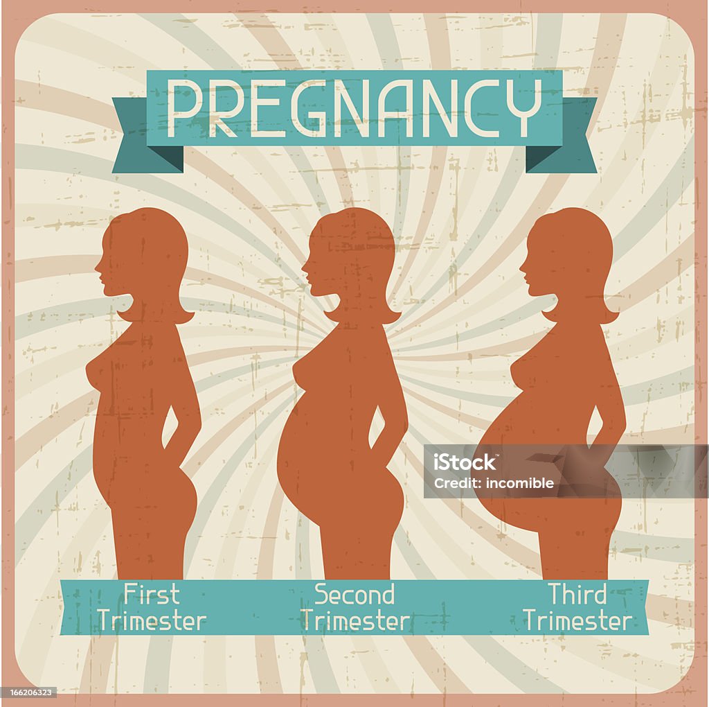 Silhouette d'une femme enceinte dans les trois trimestres de grossesse. - clipart vectoriel de Abdomen libre de droits