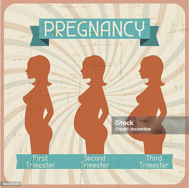 Silhouette Dune Femme Enceinte Dans Les Trois Trimestres De Grossesse Vecteurs libres de droits et plus d'images vectorielles de Abdomen