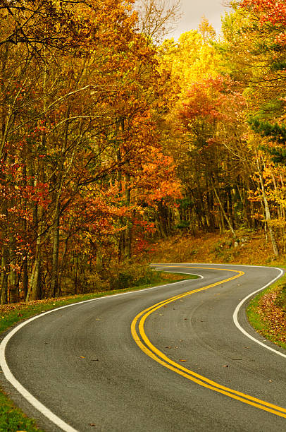 istock Autumn S-Curved Road 166211080