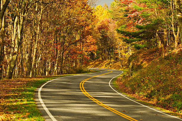istock S-Curve Road, Skyline Drive Virginia 166211085