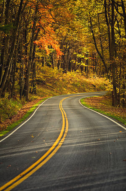 istock Autumn S-Curved Road 166211090