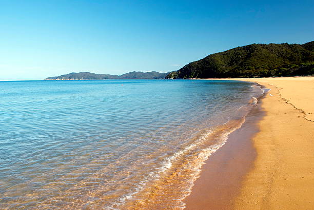 totaranui paisaje marino, parque nacional de abel tasman, nueva zelanda - golden bay fotografías e imágenes de stock