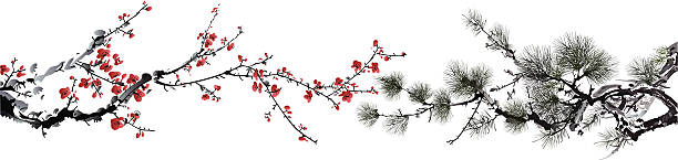 ink style winter sweet and pine tree ink style winter sweet and pine tree, eps10 file plum blossom stock illustrations