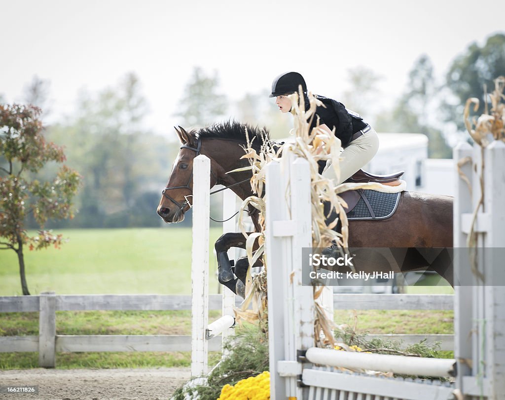 Horse Pullover mit Schwerpunkt auf den nächsten Sprung - Lizenzfrei Pferd Stock-Foto