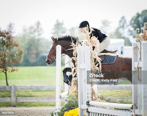 Horse Pullover Mit Schwerpunkt Auf Den Nächsten Sprung Stockfoto und mehr Bilder von Pferd