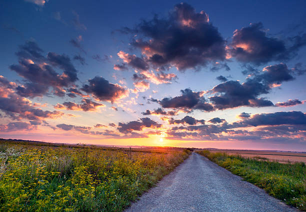 istock Colorful summer sunrise in the countryside 166212201