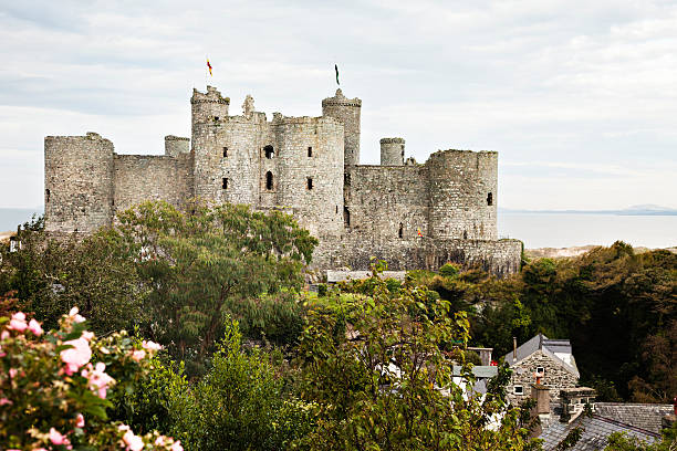 Harlech Castle and village rooftops