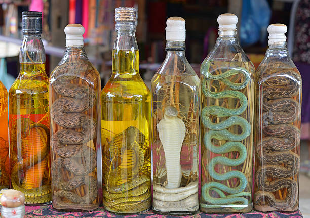 Snake liquor, Laos stock photo