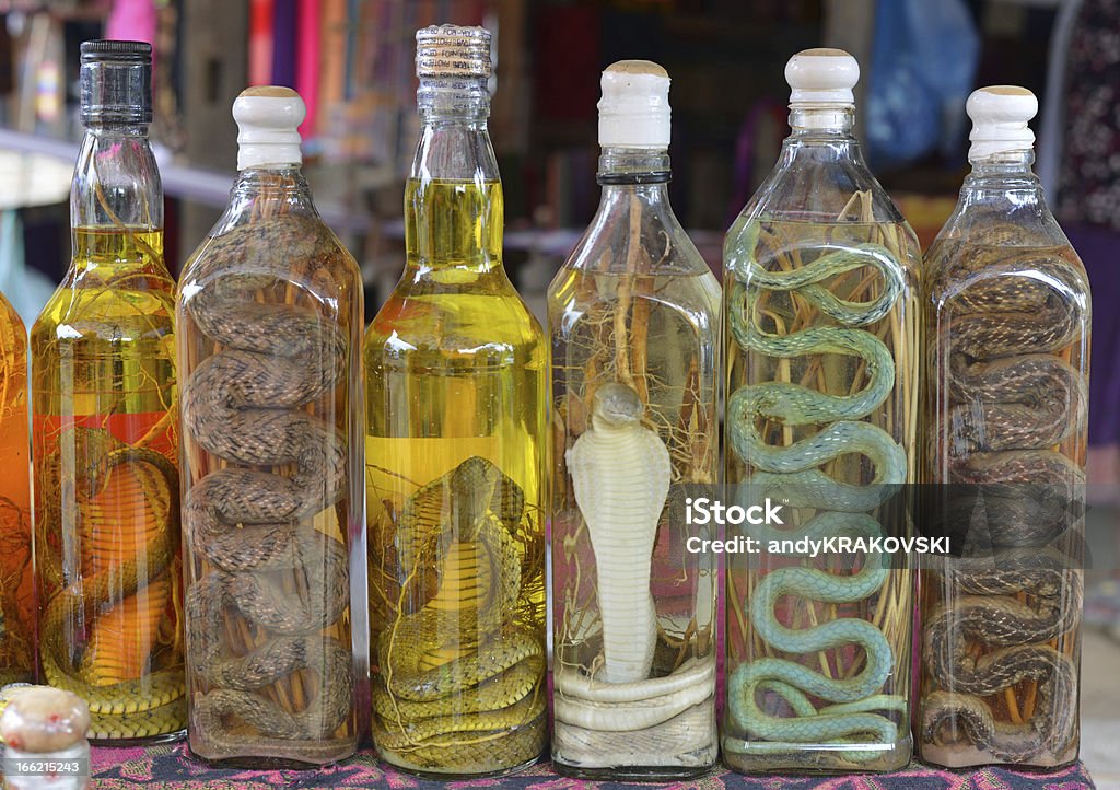 Snake bebidas, Laos - Foto de stock de Cobra royalty-free