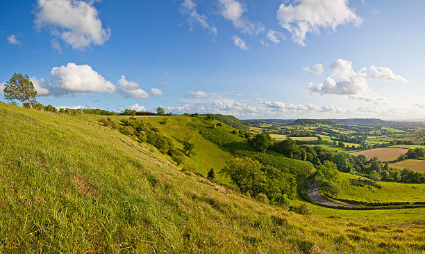 istock Glorious sweeping panoramic landscape of English countryside in summer. 166216441