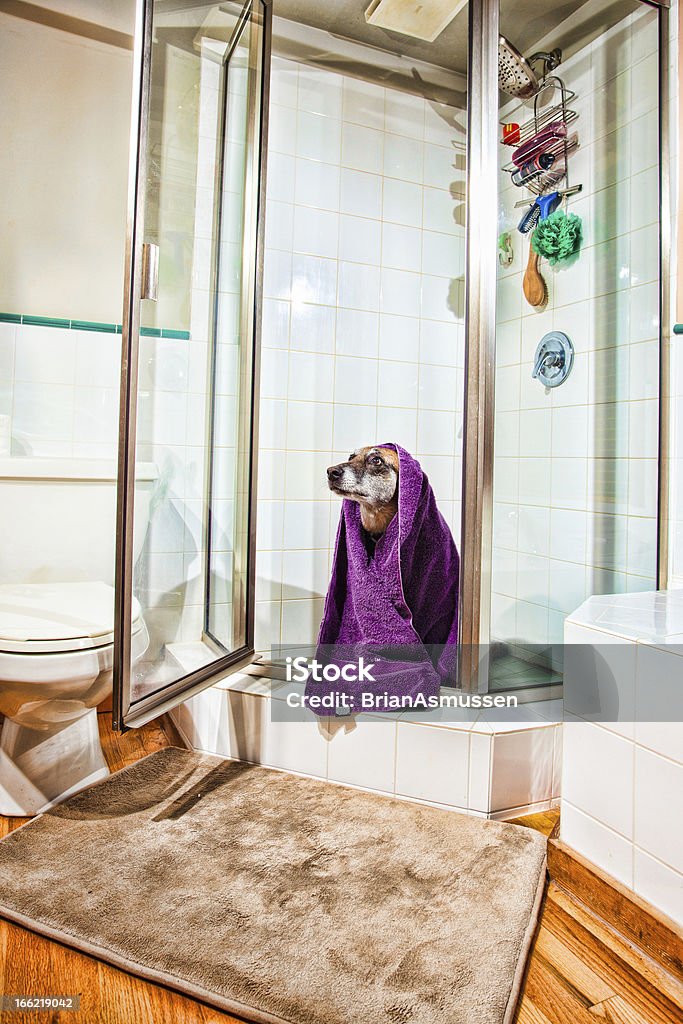 Hund Bad - Lizenzfrei Badezimmermatte Stock-Foto