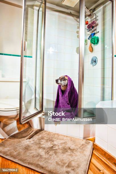 Hund Bad Stockfoto und mehr Bilder von Badezimmermatte - Badezimmermatte, Hund, Badezimmer