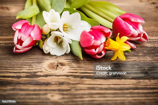 Spring Flowers Stock Photo - Download Image Now - Blossom, Bouquet, Close-up