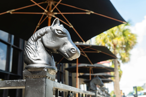 This is photograph of a metal hitching post in the shape of a horse head in downtown Ocala, Florida.