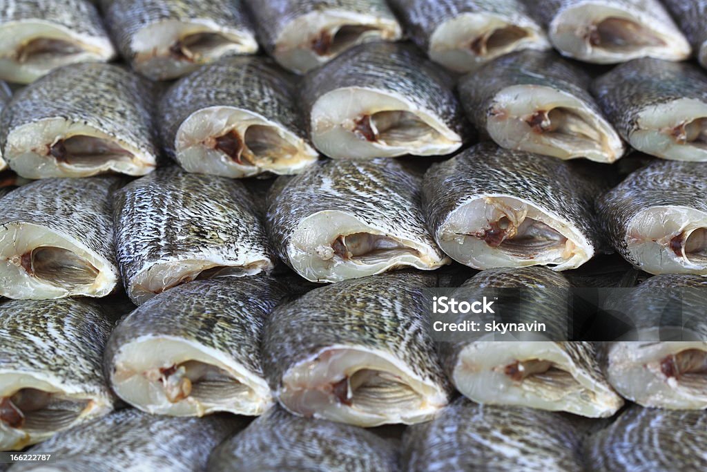 Getrocknete Fisch - Lizenzfrei Aquakultur Stock-Foto