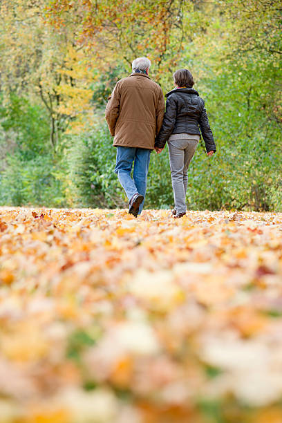 istock Rear view on Senior couple walking in autumn through park 166222994