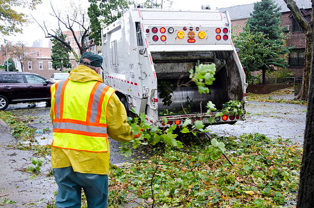 trabalhadores de limpeza de ruas sequência do furacão. - leaf autumn falling tree imagens e fotografias de stock