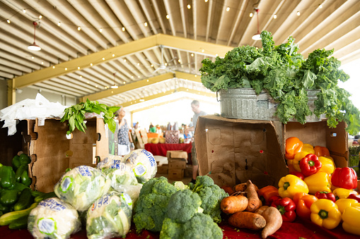 In Ocala, USA at the weekly Saturday Farmers Market a variety of produce is on retail display as people walk at the local weekend event.