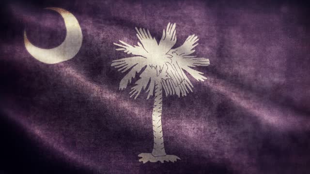 American State Closeup of grunge South Carolina waving flag loopable stock video