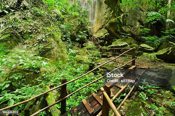 Rattanakosin 울창한 열대 우림 국립 공원 0명에 대한 스톡 사진 및 기타 이미지 - 0명, 강, 계절