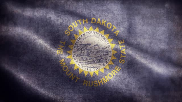 American State Closeup of grunge South Dakota waving flag loopable stock video