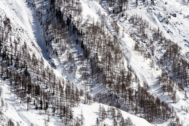 istock South side of the mountain 166226980