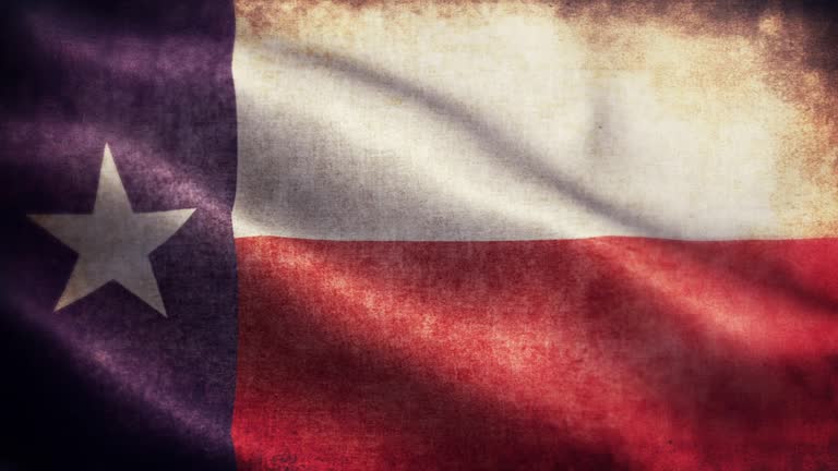 American State Closeup of grunge Texas waving flag loopable stock video