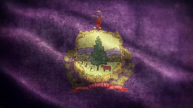 American State Closeup of grunge Vermont waving flag loopable stock video