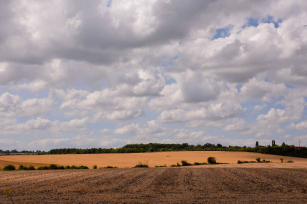 istock European natural countryside 1662286191