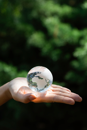 Hand is holding glass globe in forest