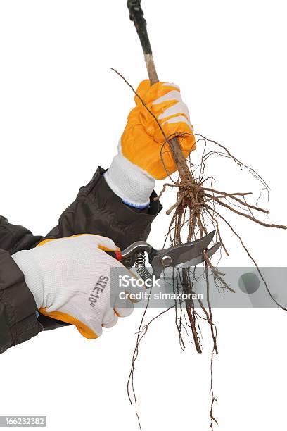 Die Landwirtschaft Stockfoto und mehr Bilder von Arbeiten - Arbeiten, Ast - Pflanzenbestandteil, Ausrüstung und Geräte