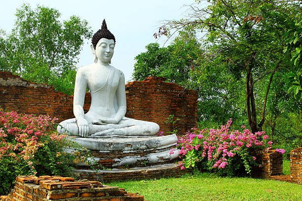 Free Stock Photo of Buddha Statue Standing in Front of Trees | Download ...