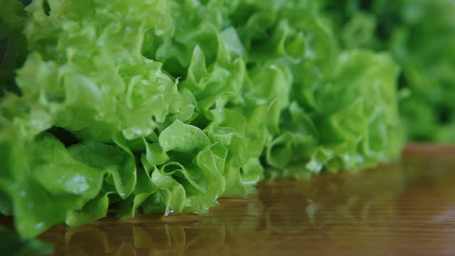 Wet fresh lettuce leaves falling on wooden table in kitchen. Curly leaves green salad drops with water droplets