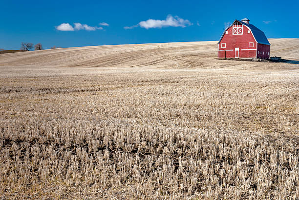 istock Red Parn in a wheat field 166239925