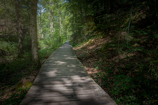 Idyllic wooden hiking trail in the woods of the Mullerthal region, also known as Little Switzerland, Luxembourg