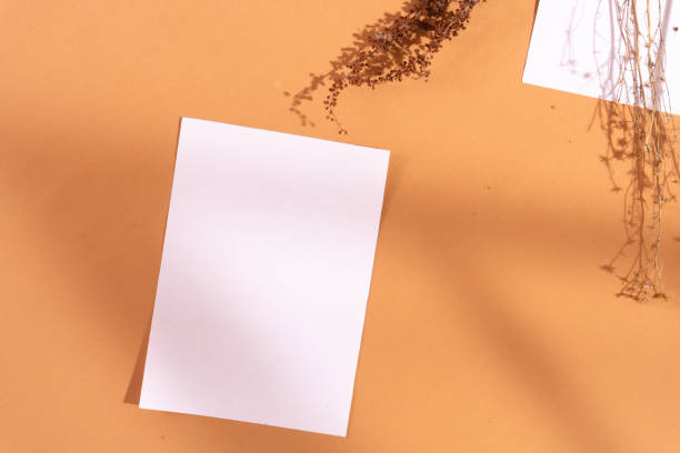 istock Minimalist square invitation card mockup with dried plants, window shadow, beige background 1662426010