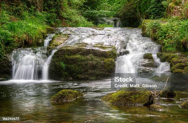 Stunning Waterfall Flowing Over Rocks Through Lush Green Forest Stock Photo - Download Image Now