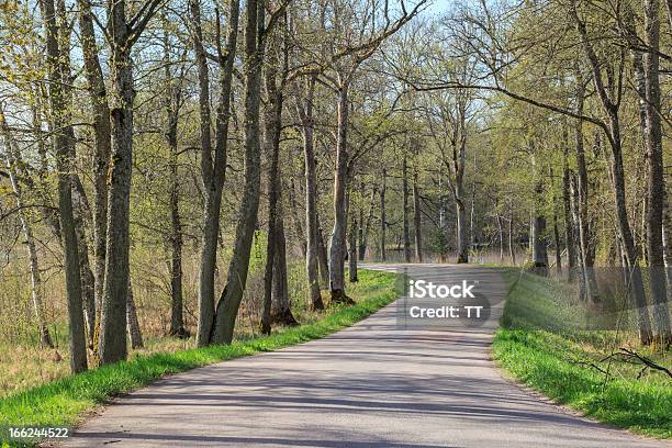 Curva Para Road Foto de stock y más banco de imágenes de Aire libre - Aire libre, Arbolado, Belleza de la naturaleza