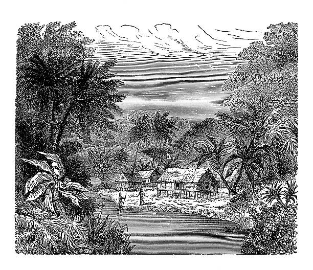 illustrazioni stock, clip art, cartoni animati e icone di tendenza di villaggio in legno antico nuova guinea (incisione) - papua new guinea