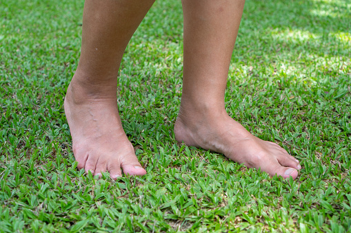 Walking barefoot on grass helps to stimulate the functioning of organs.