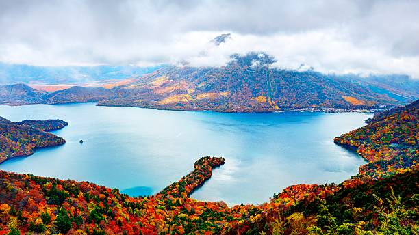 lac chuzenji - japanese maple leaf water japan photos et images de collection