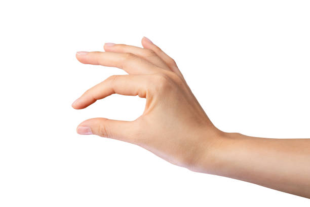 istock Clipping path, woman hand touching or pointing on isolated white background. 1662590003