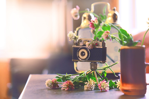 Vintage style, analogue camera on the table and summer flowers. Summer or Autumn season concept. Fall, thanksgiving, travel concept. Home sweet home